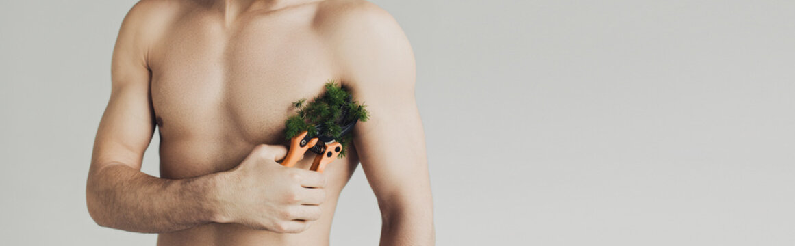 Panoramic shot of shirtless man cutting plant on armpit with secateurs isolated on grey
