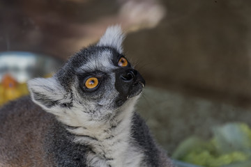 Tierpark Wismar