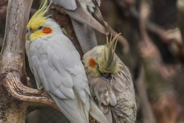 Tierpark Wismar