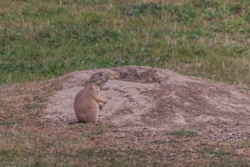 Tierpark Wismar