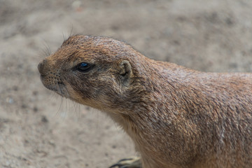 Tierpark Wismar