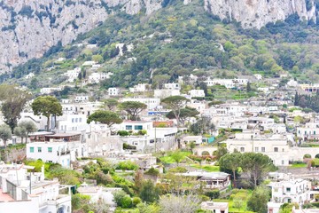 Fototapeta na wymiar Villages of Capri Island in Campania Province