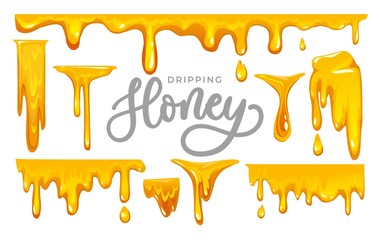 Dripping honey on white background. colorful collection of delicious honey drops. Melted honey isolated on white background. Vector illustration. - obrazy, fototapety, plakaty