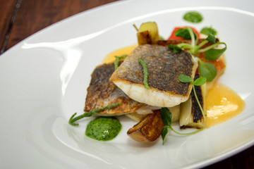 Gourmet dish of high gastronomy with sea bass