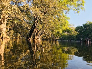 Fototapeta premium Reflecting 