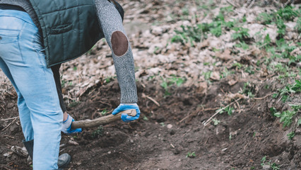 Worker digs the black soil with shovel in the vegetable garden, man loosens dirt in the farmland, agriculture 