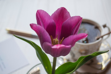 A cup of coffee and flower close up.