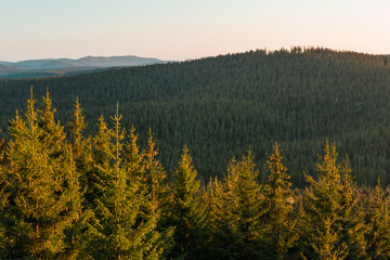 Nice forest valley with distant hills