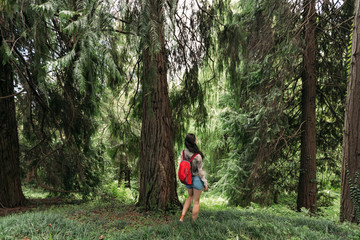 Obraz premium Traveler woman with backpack walking in the forest