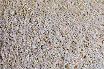 loofah texture. loofah it is use for body scrub.