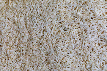 loofah texture. loofah it is use for body scrub.