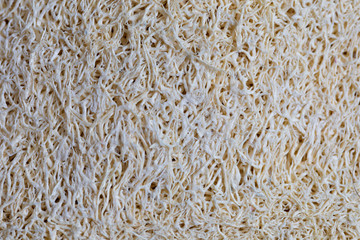 loofah texture. loofah it is use for body scrub.