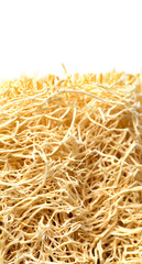 loofah texture. loofah it is use for body scrub.