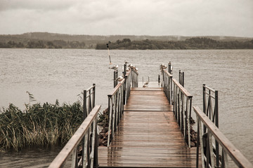 Naklejka premium Pier on Ladoga lake. Karelia. Russia. Landscape with wooden bridge, water surface and sky with clouds. Greyness and rainy weather.