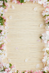 Frame of spring flowers of sakura on bamboo background. Beautiful cherry blossom sakura in springtime