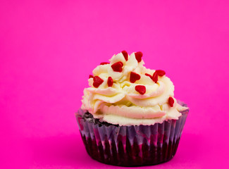 Cupcake on a pink background. space for text