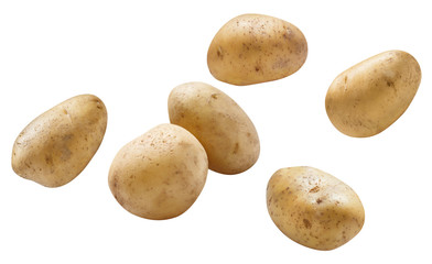 Falling potatoes, isolated on white background