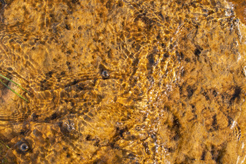 cracked petrified clay under water as background