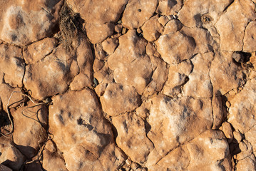 cracked petrified clay soil as background