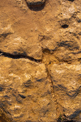 cracked petrified clay under water as background