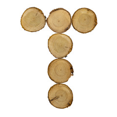Wooden stumps, letter t, alphabet, white background isolated