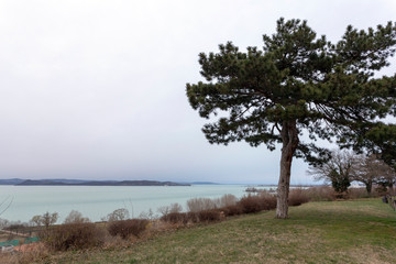 Fototapeta na wymiar Lake Balaton