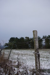 Fototapeta premium fence and blue sky