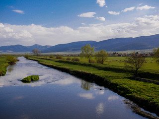 Sheepflock grazing fresh grass at springtime, shepherd looking along the clean river with hes resting dogs around him.