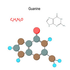 Guanine. Chemical structural formula and model of molecule. C5H5N5O.