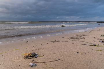 Strand in Boltenhagen