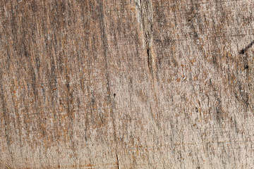 Old Wood Texture
