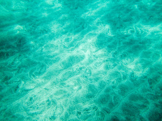 underwater scene in shallow waters with light rays on ocean seabed 