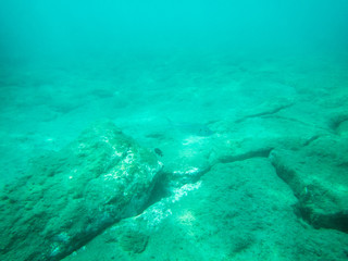 underwater scene in shallow waters with light rays on ocean seabed 