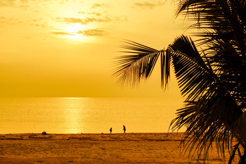 Fototapeta na wymiar Beautiful Sunrise with coconut palm tree silhouette and privacy