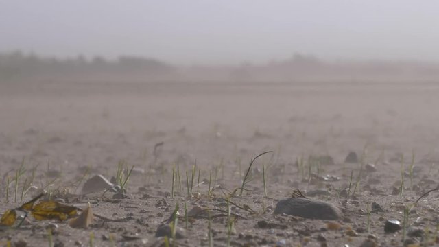 Dust storm on dry land