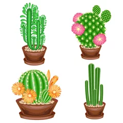 Fotobehang Cactus in pot Een collectie kamerplanten in potten. Cactussen, euphorbia, Mammillaria met bloemen. Leuke hobby voor verzamelaars van cactussen. Huis en appartement decoratie. Kleurenfoto. vector illustratie