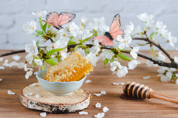 Obraz na płótnie Canvas Honeycomb in ceramic bowl and honey dipper on wooden background with cherry blossoms.