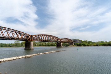 Schwarzwald im Frühling