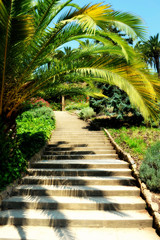 Fototapeta na wymiar Barcelona Park Güell tropische Palme