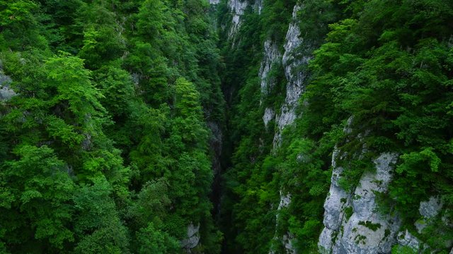 Garganta de Holtzarte, Zuberoa, France
