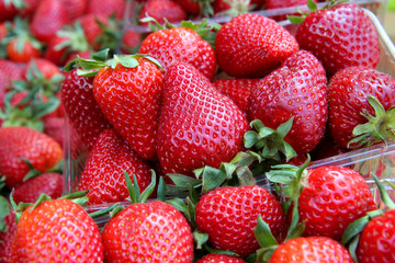 Strawberries are in plastic boxes