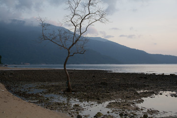 Sunset in Tioman Island, Malaysia.