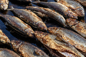 Mackerel fish prepared on hot hood a street food festival, cooked and ready to eat