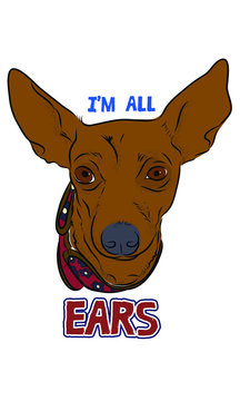 I'm All Ears Dog