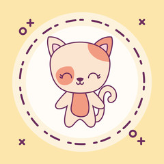 cute cat animal with frame circular