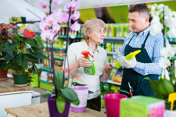 Obraz premium Two gardener are choosing substances for care of flowers in greenhouse.