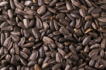 Roasted sunflower seeds. The form of the top.