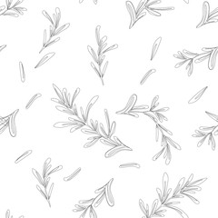 Seamless pattern with rosemary on white, background of spices, wallpaper with rosemary branches