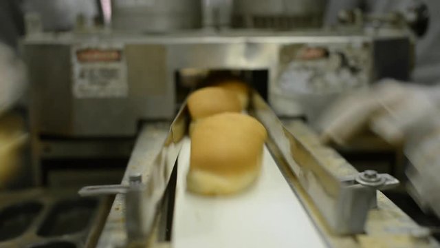 Close up static shot on workers hands in bread making factory repeating movement putting loaves onto conveyor belt to move through production line.