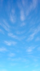 Blue sky background with white clouds. Cumulus white clouds in the clear blue sky in the morning. 3D illustration